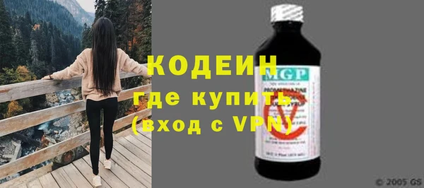 гидра Няндома