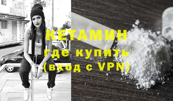 гидра Няндома