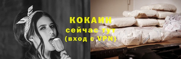 гидра Няндома