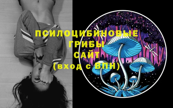 гидра Няндома