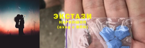 гидра Няндома