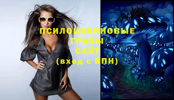 spice Осинники