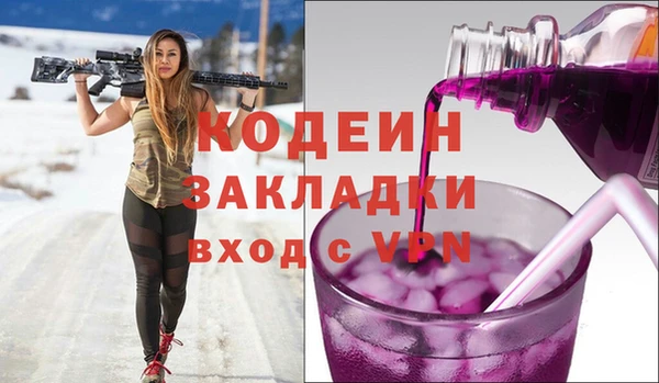 гидра Няндома