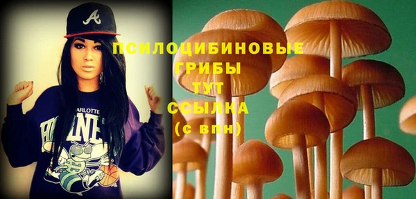 apvp Остров