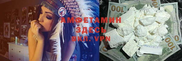 гидра Няндома