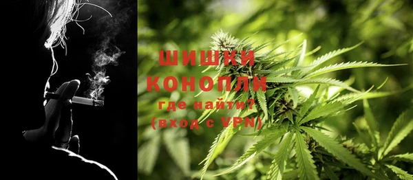 гидра Няндома