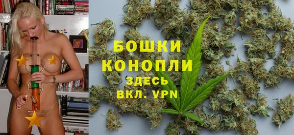 spice Осинники