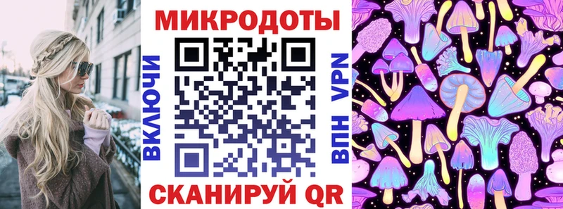 Галлюциногенные грибы Psilocybe как найти закладки Карпинск