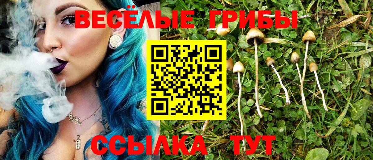 Галлюциногенные грибы ЛСД  Псилоцибиновые грибы Cubensis  Вход с VPN  Карпинск 
